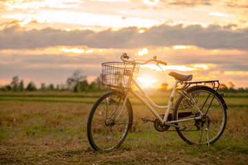Naklejka na ściany i meble bicycle in the sunset