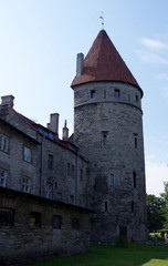 Fototapeta na wymiar tour du mur d'enceinte de la vieille ville de Tallinn, Estonie
