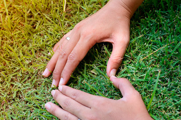 hands in grass