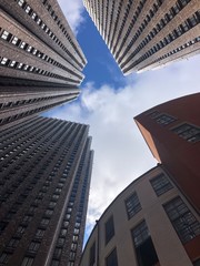 Obraz na płótnie Canvas skyscrapers in moscow