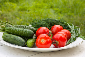 Beautiful fresh tasty vegetables from the garden lie on a plate on a white table. Cucumbers, tomatoes, onions, dill closeup