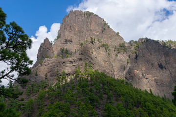 Fototapeta premium Volcanic landscape and Canary Island Pine forest (pinus canariensis) at Mirador de la Cumbrecita, La Palma, Canaries