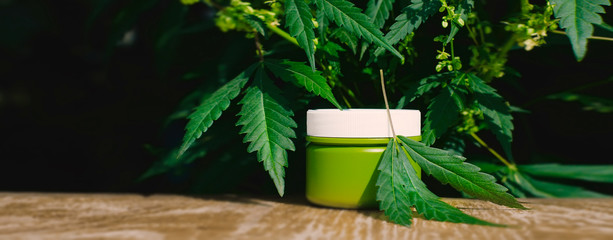 Panorama of marijuana leaf and jar cream on table with blurred background. Cannabis is growing....