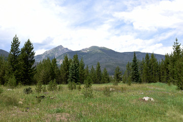 landscape in the mountains