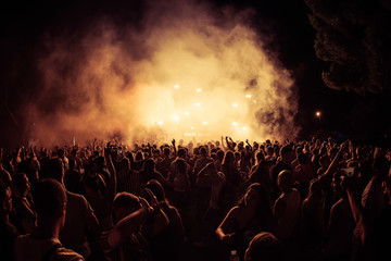 The crowd in a concert