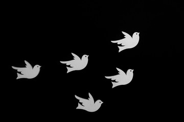 white fly group of dove of peace on white background