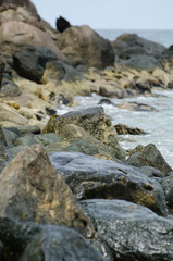 Rochedos e o Mar