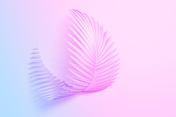 Three-dimensional palm curved leaf, like a light feather on a white background