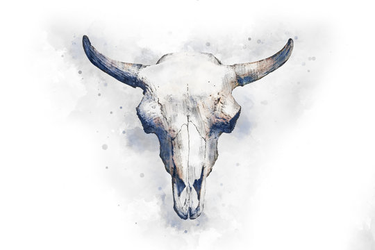 Watercolor drawing of a bull's head on a light background