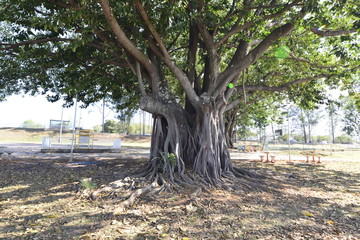 A beautiful view of Deck Sul Park in Brasilia, Brazil.