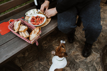 The man has an Italian style snack salad with mozzarella tomatoes and ciabatta bread outside on a wooden bench. Sitting next to the dog.