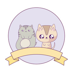 cute cats baby animals kawaii