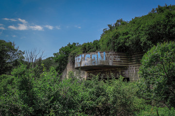 old bunker in the forest