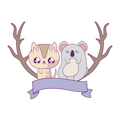 cute koala with cat animals baby kawaii