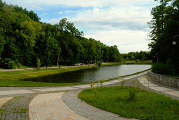 Fototapeta na wymiar Pond surrounded by green trees (forest)