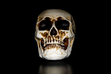 plastic skull on black background