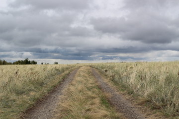 Fototapeta premium steppe road going into the stormy sky