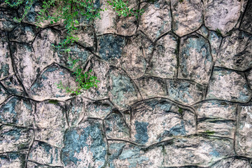 Rock wall with green plants