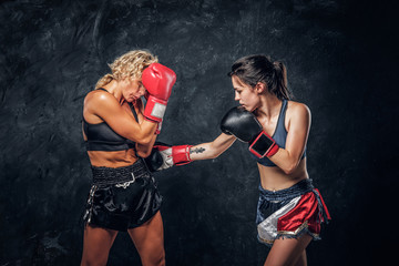 Process of fight between two female boxers, one of them got hit from another.