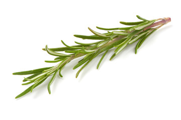 Fototapeta premium Rosemary sprig, isolated on white background