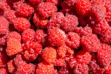 Raspberry fruit background
