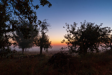 Obraz premium Mglisty poranek w Dolinie Narwi, Podlasie, Polska