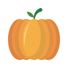 Isolated pumpkin fruit vector design
