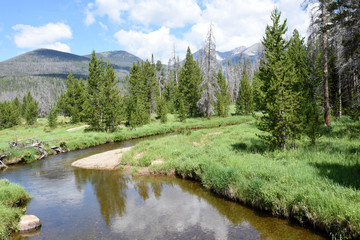 Naklejka premium Mountain Stream running through the valley