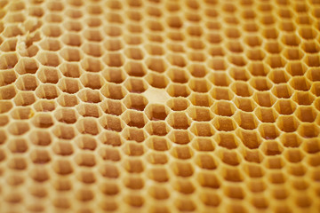 pattern of a section of wax honeycomb from a bee hive filled with golden honey. Background texture