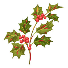 Illustration of holly branch with berries.