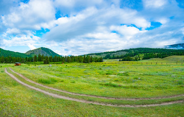 Alpine steppe in the background of snowy mountains