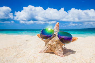 Starfish with sunglasses on beach