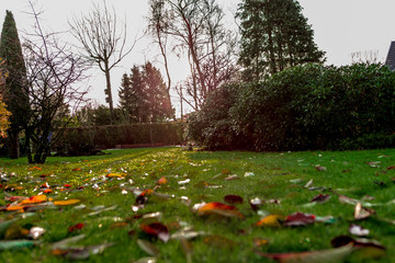 Fall in the garden 