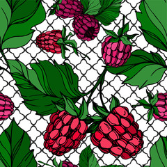 Vector Raspberry healthy food isolated. Black and white engraved ink art. Seamless background pattern.