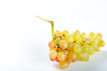 Bunch of grape on a white background
