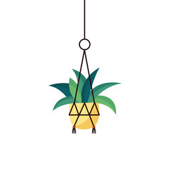 Hanging plant inside pot vector design