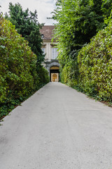 Fototapeta premium Alley trees in the decorative garden of ancient mansion. View at the mansion through green bushes