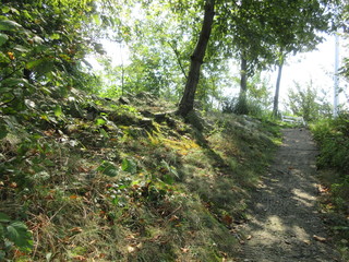Obraz premium outside nature