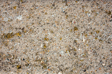 Close-up cement mortar with river sand. Foci of mold on the surface of a concrete slab, top view. Yellow mold on a concrete slab.