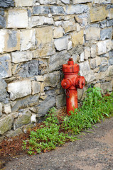 Feuerhydrant rot