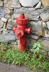 Feuerhydrant rot