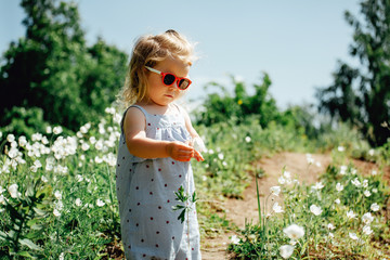 Adorable little girl catching butterflies and bugs with her scoop-net.