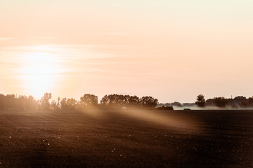 Fototapeta na wymiar sunlight on field near trees and sky in evening