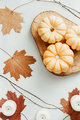 Top view of small pumpkins on a wooden board decorated Autumn ornate. The concept of Thanksgiving and Fall time.
