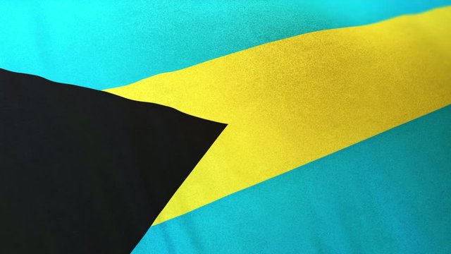 Bahamas national flag seamlessly waving on realistic satin texture 29.97FPS
