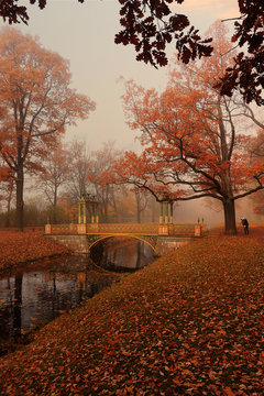 Russia, St. Petersburg, October 17, 2018, Alexander Park. In the photo is the Chinese bridge in Tsarskoye Selo against the backdrop of an autumn park with red leaves in dense fog