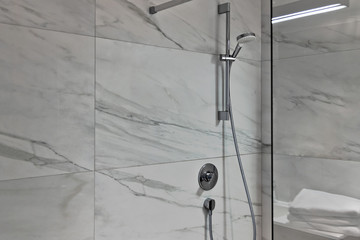 Elegant shower in a generic modern bathroom with copy space for your ads.