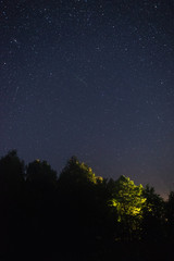 Starry sky over the forest and flying meteor summer night