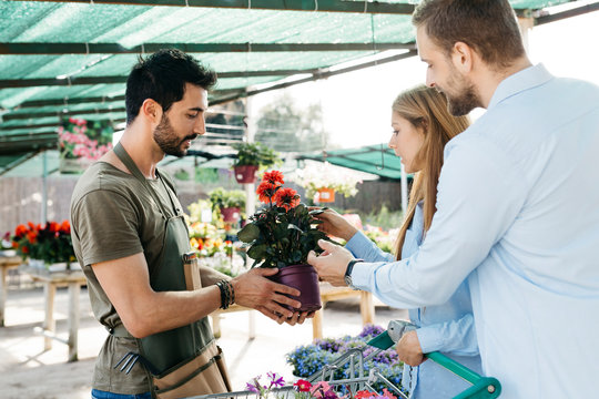 Worker in a garden center showing a plant to customers
