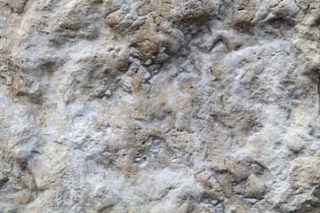 wall stone texture